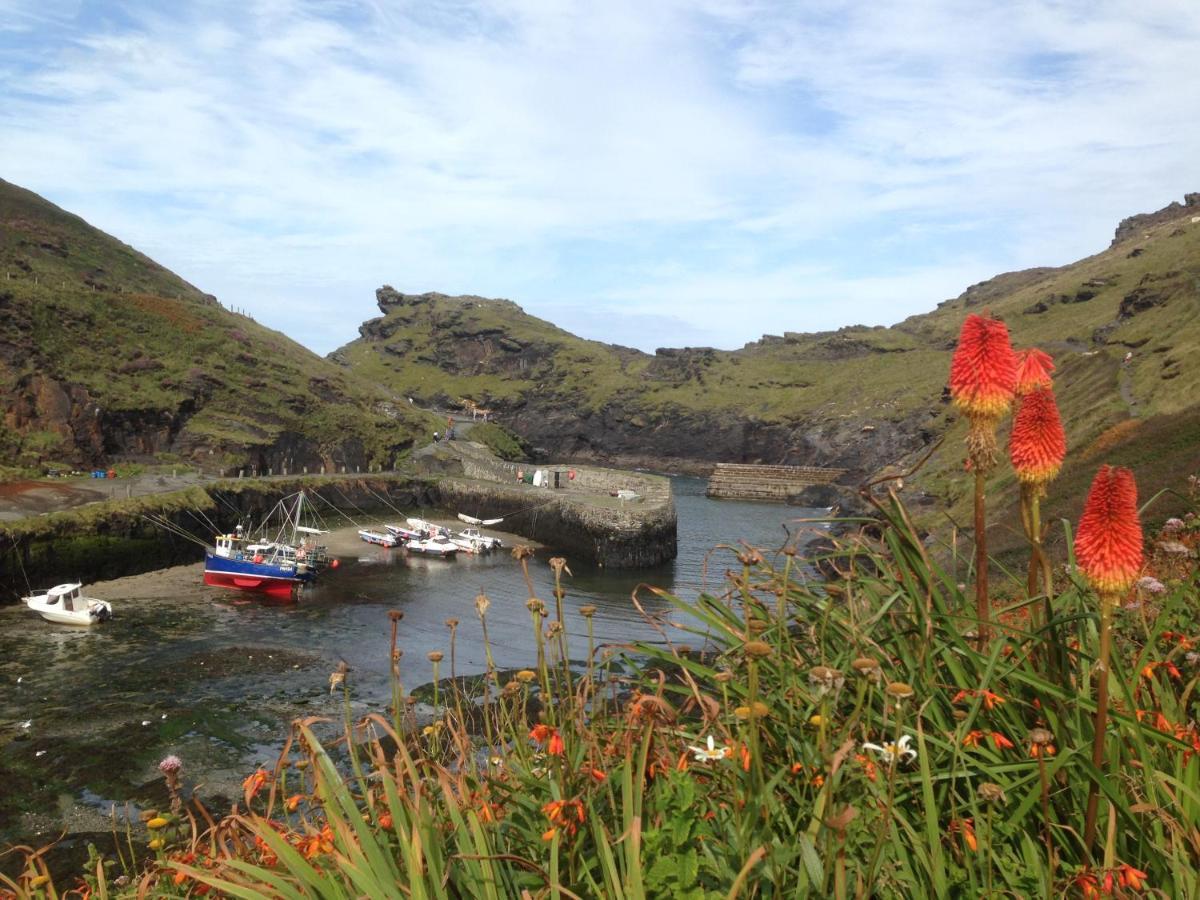 Apartament Harbour Light Boscastle Zewnętrze zdjęcie