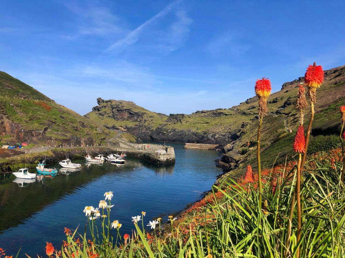 Apartament Harbour Light Boscastle Zewnętrze zdjęcie